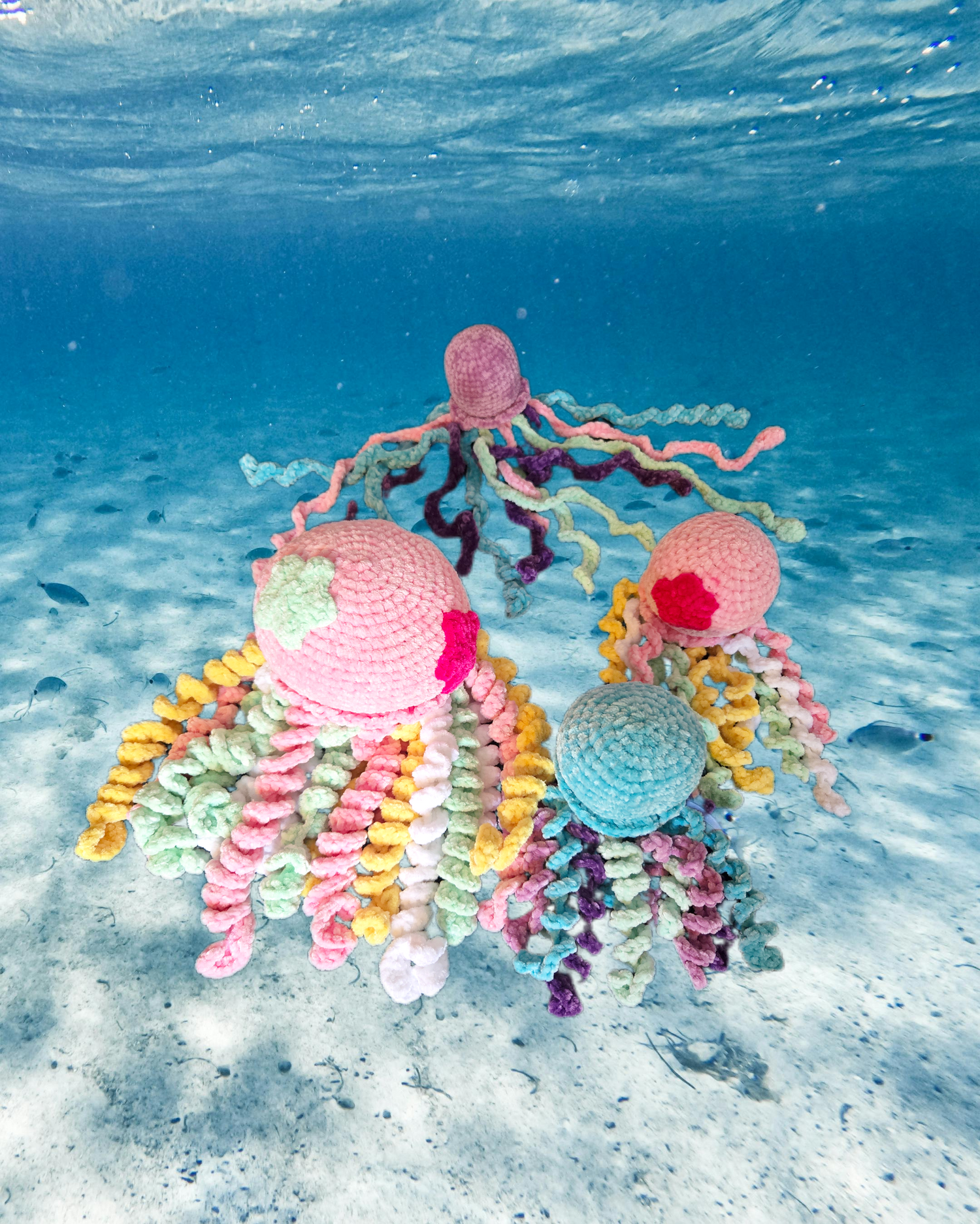 ✨️The Jellies✨️