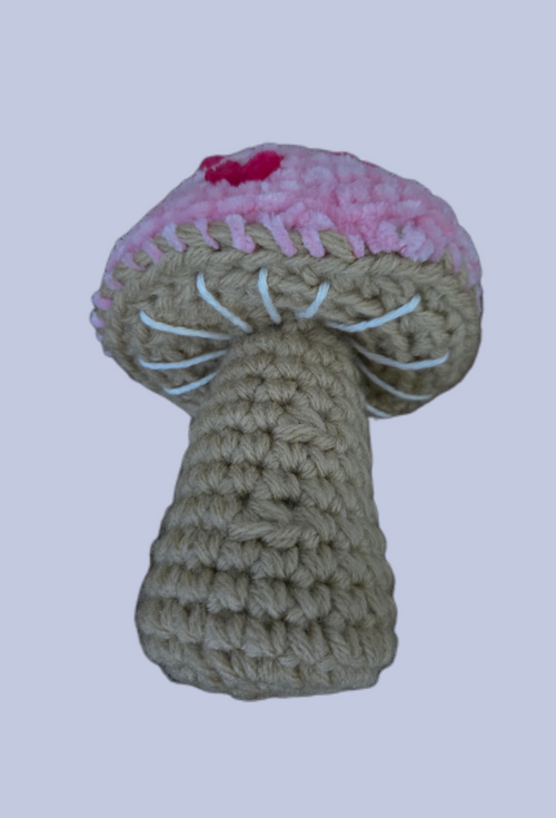 Cottagecore Mushroom (Lovebloom Pink)