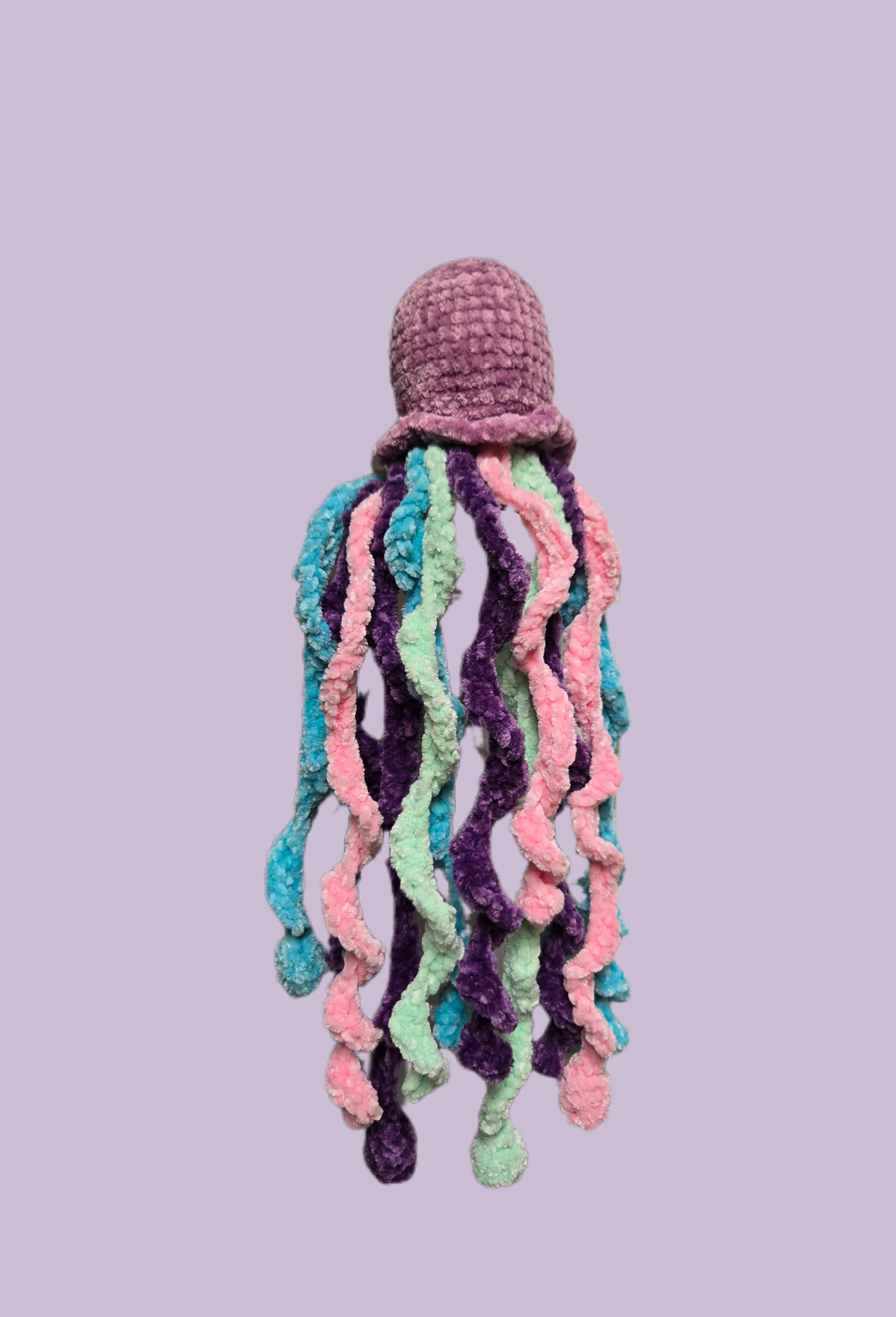 Aurelia Jelly